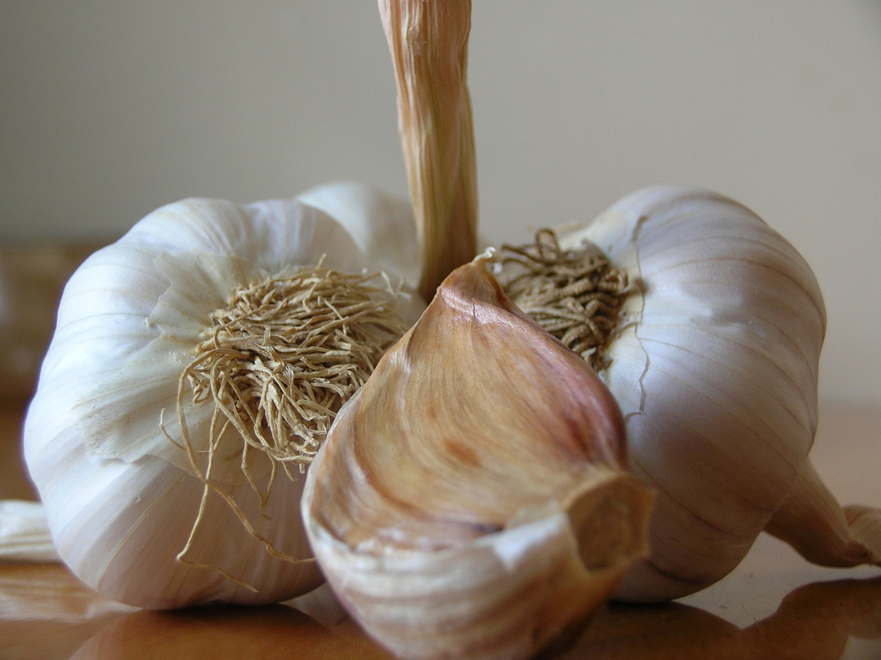 gilroy garlic festival 2016 image